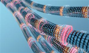 2024新能源项目市场投资环境及前景展望(图4)