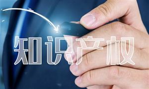 2024新能源项目市场投资环境及前景展望(图6)