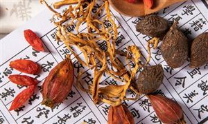 2024新能源项目市场投资环境及前景展望(图10)