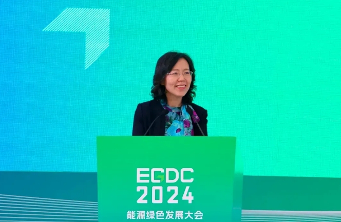 2024能源绿色发展大会隆重举行(图7)
