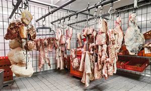 九游官网入口：2024新能源行业发展现状与深度研究(图3)