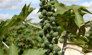 九游体育：2024光伏发电产业现状及未来发展趋向：光伏发电装机容量将保持高速增长(图6)