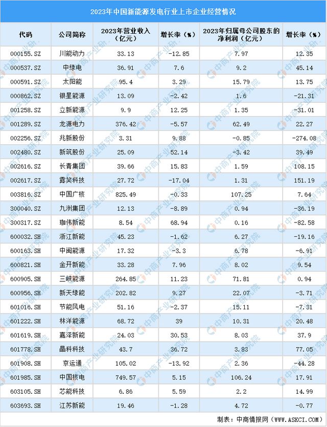 2024年中国新能源发电行业业务布局与发展战略(图3)