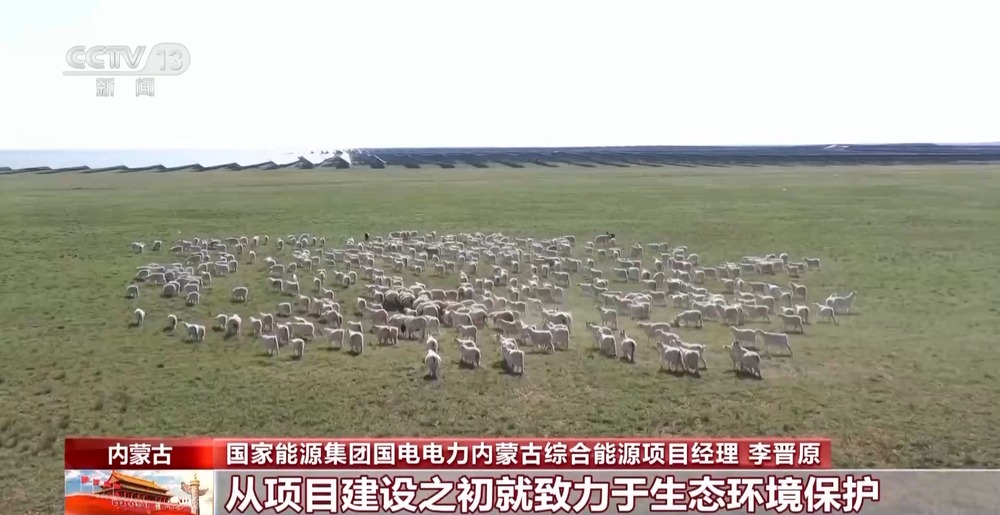 九游体育：光伏板也能像向日葵一样追日？戳进来看看→(图7)