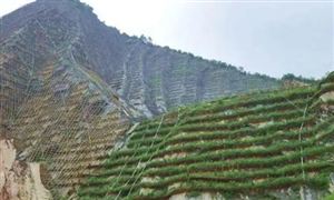 九游体育：中国新能源行业现状及发展趋势分析(图3)