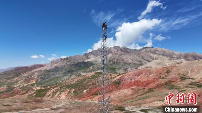 九游体育：青海西部最后一个离网光伏乡进入通大电网冲刺 将不再“看天用电”(图3)