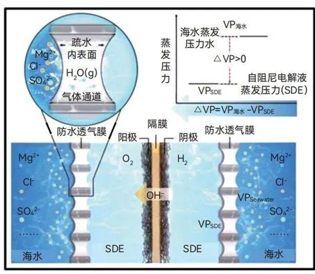 九游官网入口：蓝海制绿氢未来已来(图2)