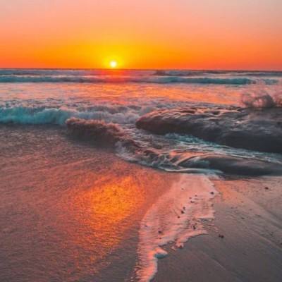 欢迎来到tvt体育官网app下载(图2)