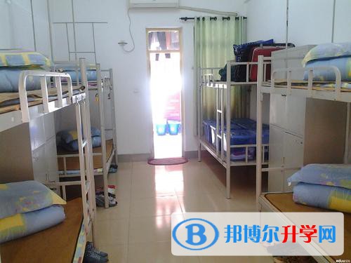 九游体育：2024郑州理工职业学院招聘教师简章