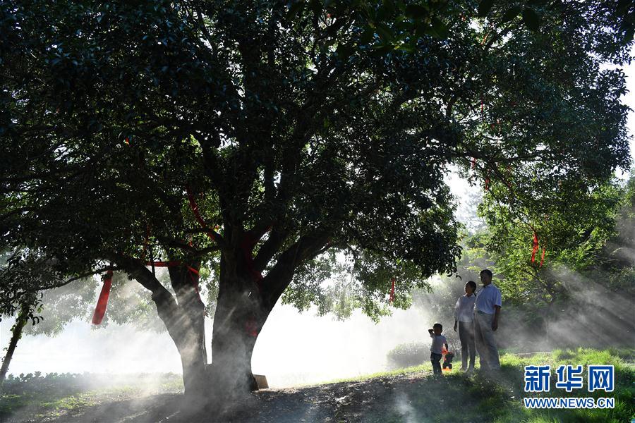 九游app：【文体艺苑】中国新能源车闪亮法兰克福车展(图3)