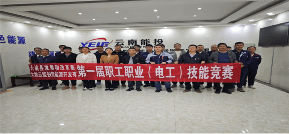 九游官网入口：联学联建强党建 政企携手谱新篇 ——大姚云能投新能源开发有限公司与县发展改革局党建联建活动成功举办(图2)