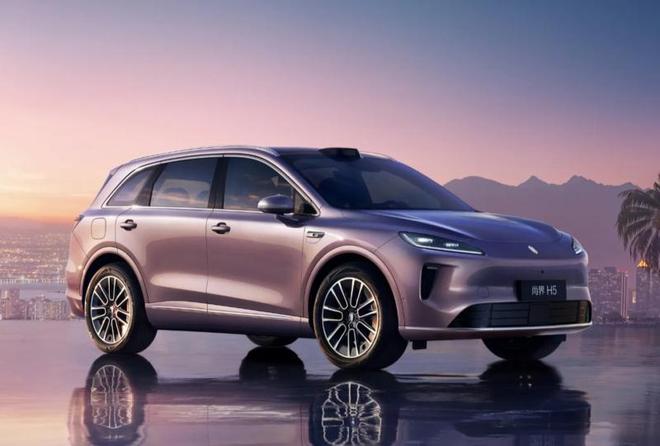 中国新能源汽车新势力10月销量出炉 零跑蝉联榜首(图4)