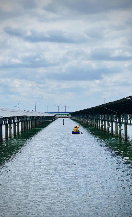 九游体育：绿电竞“速”：山东新能源行业正经历关键转型(图9)