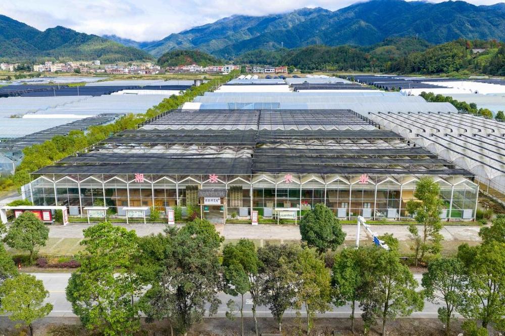 建行郴州市分行以高质量金融点亮产业与民生版图(图3)