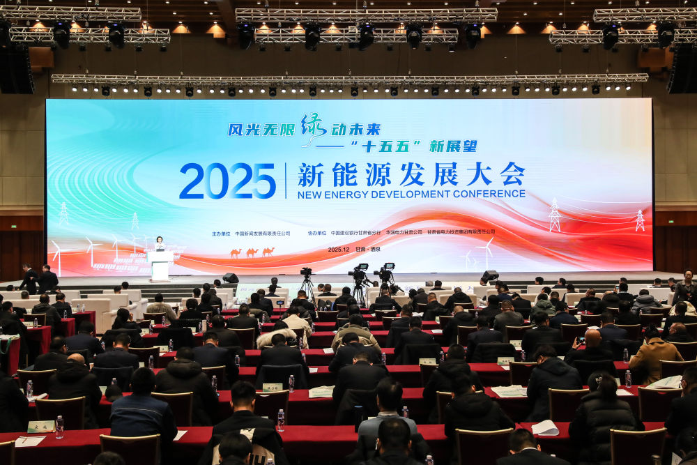 九游app：新能源发展大会｜风光无限 “绿”动未来：2025新能源发展大会隆重开幕 title=