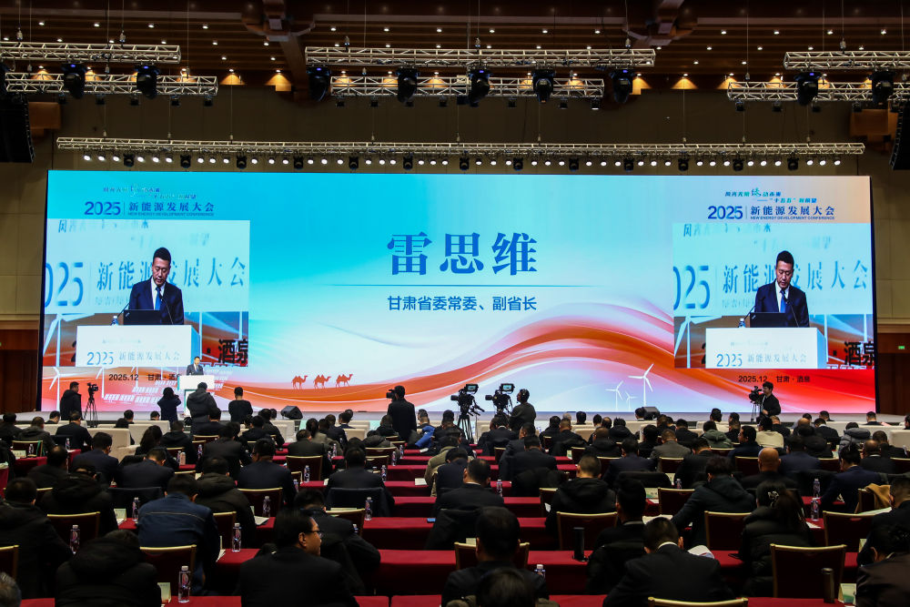 九游app：新能源发展大会｜风光无限 “绿”动未来：2025新能源发展大会隆重开幕(图2)