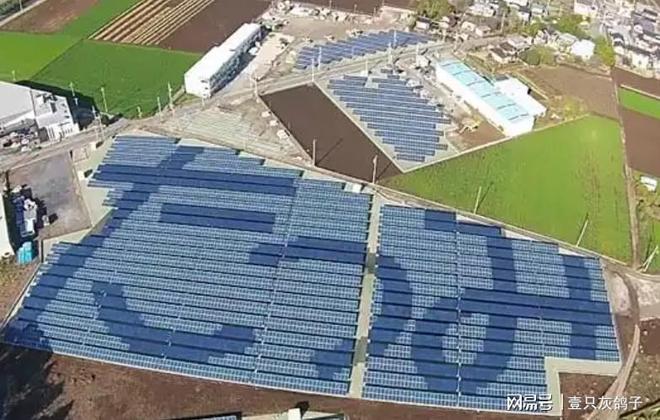 九游app：光伏奇才！日本20年的骄傲被他4个月掀翻如今三分天下有其二(图3)