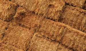 九游app：中研网行业资讯_中研普华行业研究网(图20)