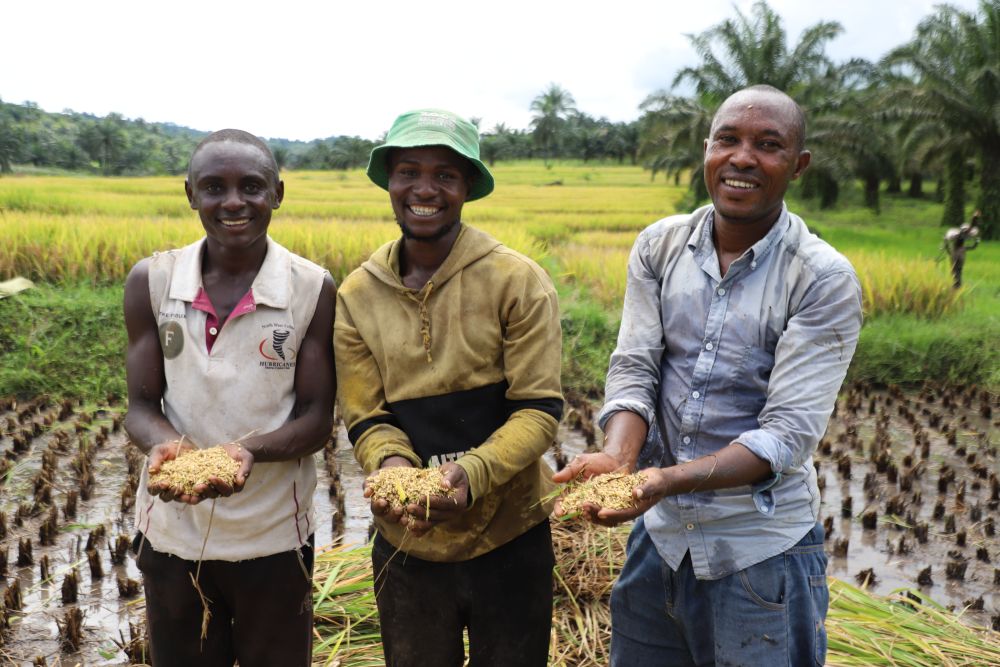 中国元首外交为动荡世界注入稳定力量(图4)