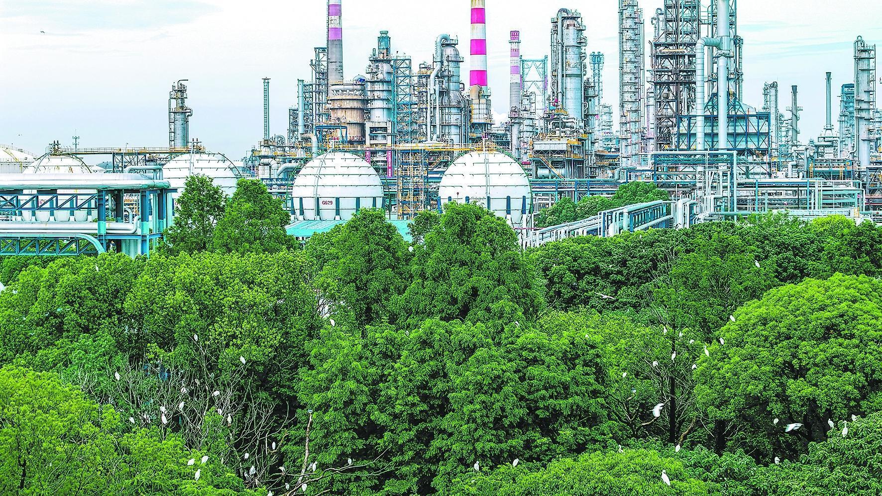 九游体育：守护锦绣河山 坚定逐绿前行(图2)