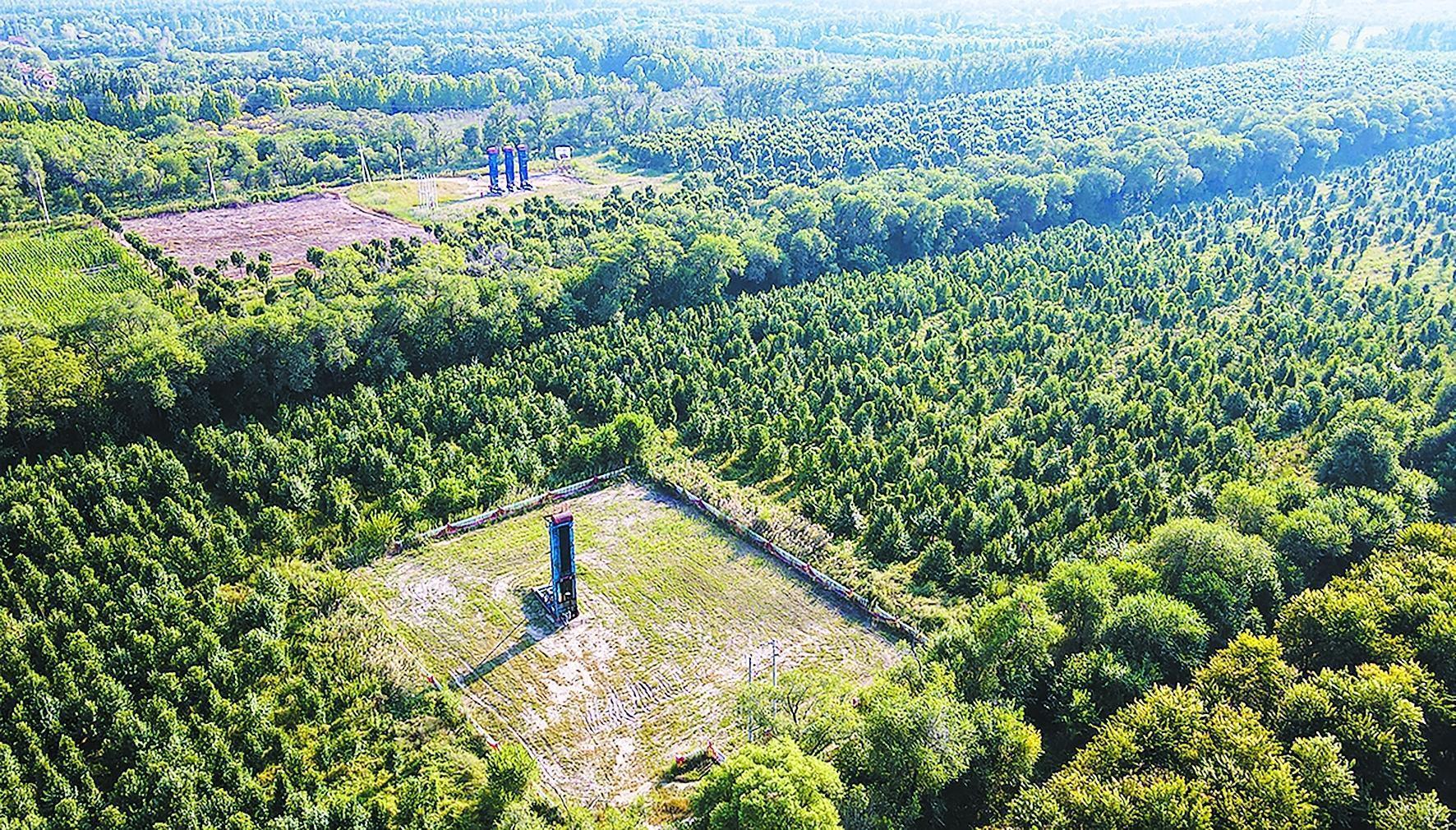 九游体育：守护锦绣河山 坚定逐绿前行(图1)