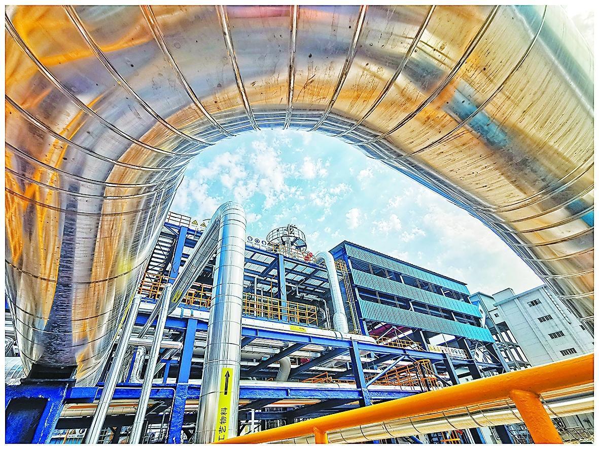 九游体育：守护锦绣河山 坚定逐绿前行(图6)