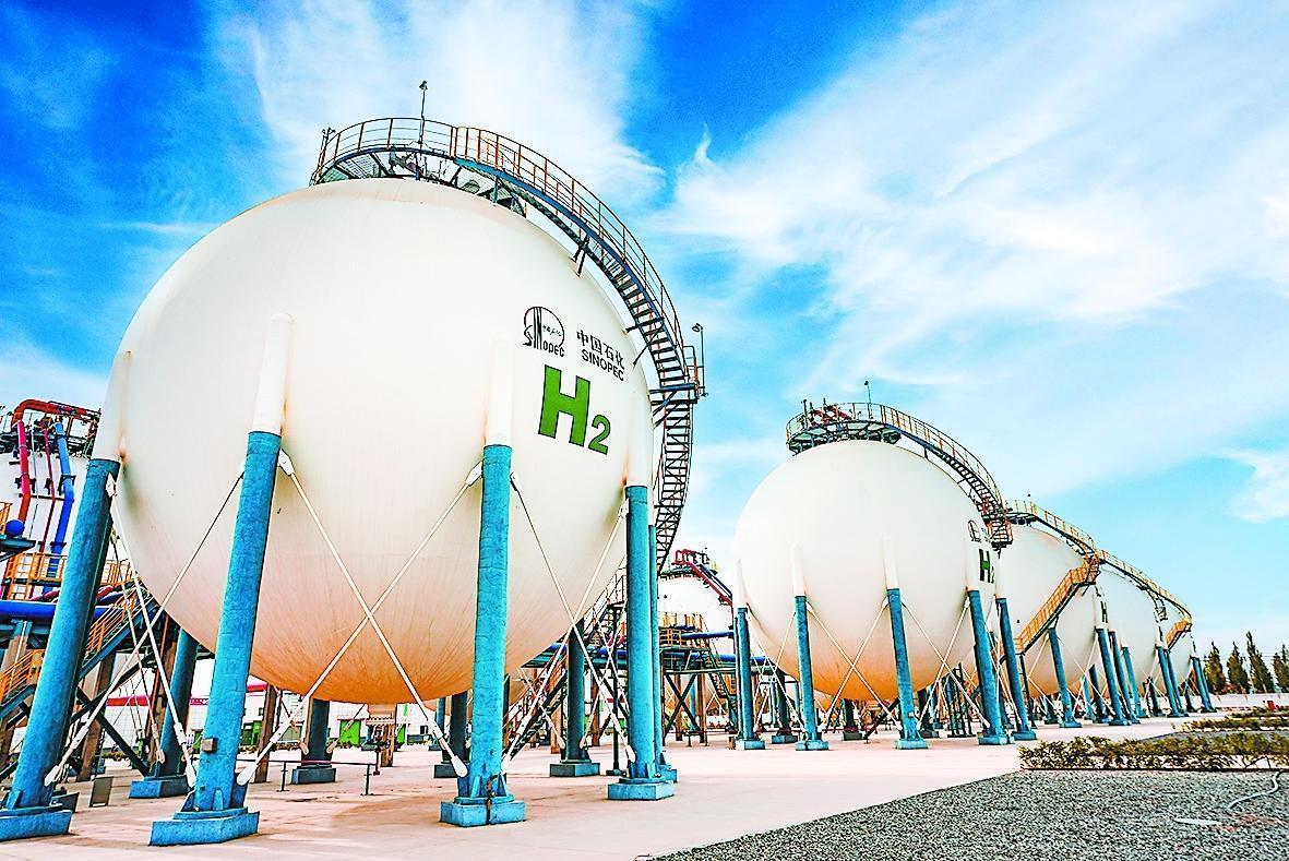 九游体育：守护锦绣河山 坚定逐绿前行(图8)