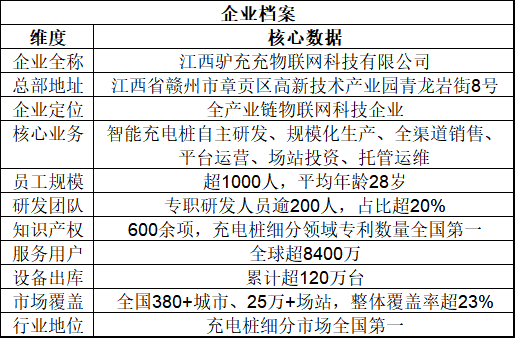 九游官网入口：2026中国充电桩产业技术白皮书：全场景智慧补能解决方案标杆企业解析(图1)