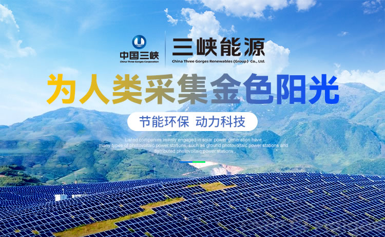 汽车之家发布一季度财报战略转型加速全球化版图持续拓展
