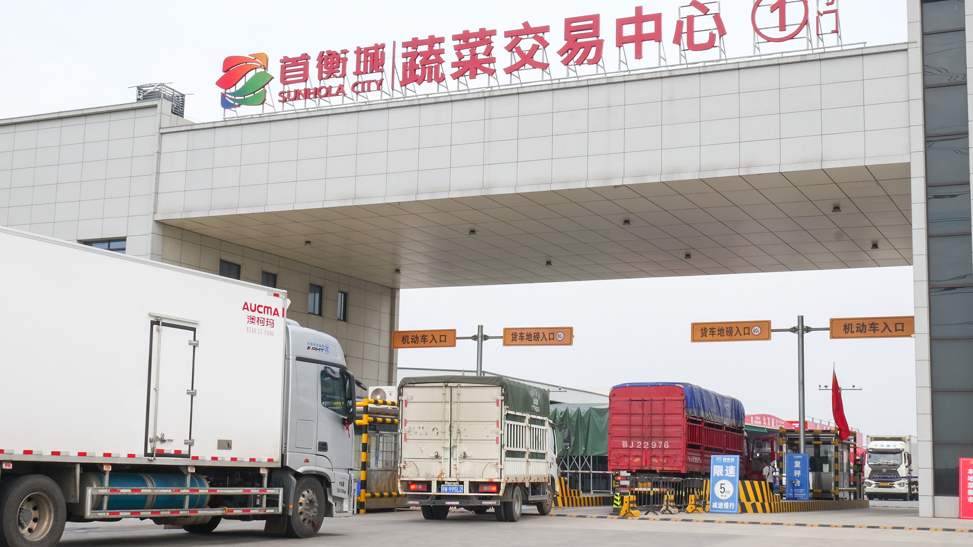 九游官网入口：一台双循环引擎：首衡打通国内国际贸易的新航路(图1)