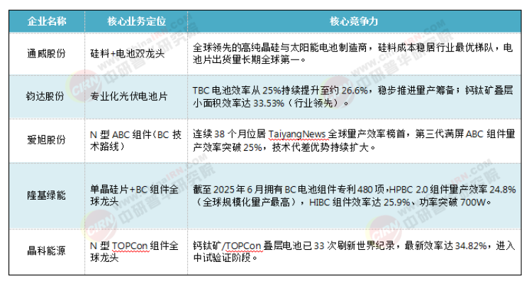 2026-2030年中国光伏电池行业深度调研与投资战略咨询(图6)